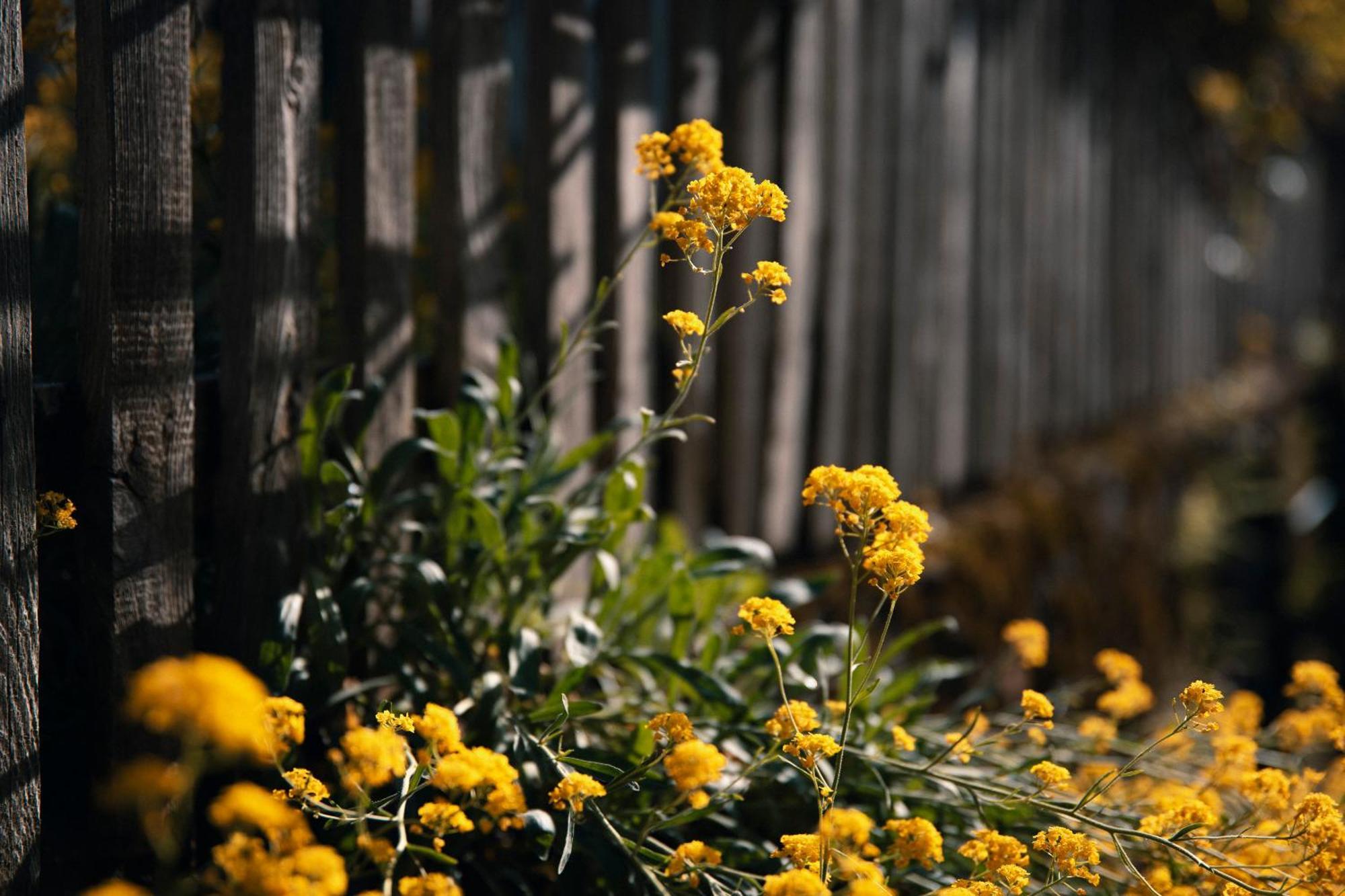 Haus Himmelfahrt Villa โซปราบอลซาโน ภายนอก รูปภาพ